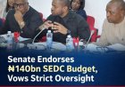 Senate Endorses N140bn South East Development Commission Budget, Vows Strict Oversight
