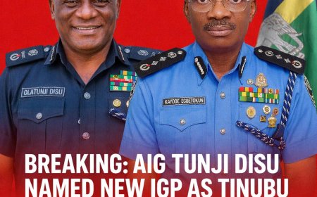 BREAKING: AIG Tunji Disu Named New IGP as Tinubu Removes Egbetokun