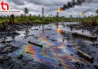 Decades of Oil Pollution in Bayelsa Triple Cancer Risk, Reduce Life Expectancy