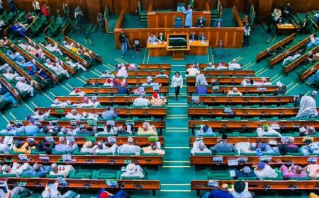 Reps Demand Breakdown of ₦34 Trillion Customs Duty Waivers, Query Revenue Reporting