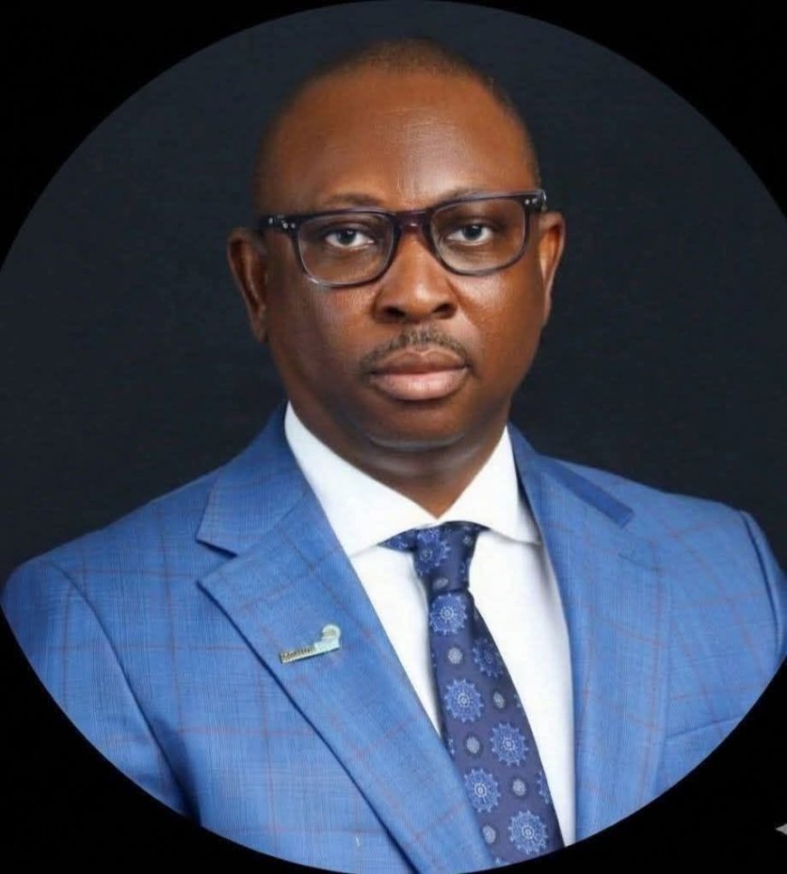 Eric Opah Questions Economic Viability of Proposed Abia Seaport