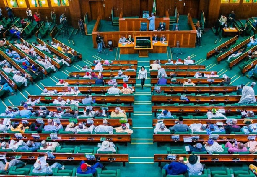 Reps Demand Breakdown of ₦34 Trillion Customs Duty Waivers, Query Revenue Reporting