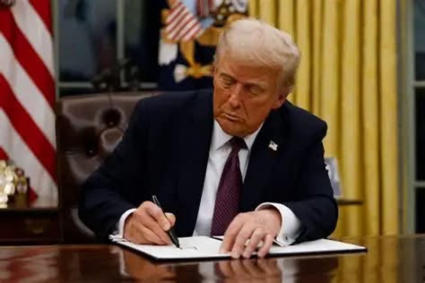US Imposes 12.5% Tariff on Nigerian Imports Over Forced Labour Concerns