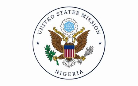 US Warns Nigerians Against Using AI Edited Passport Photos for Visa Applications