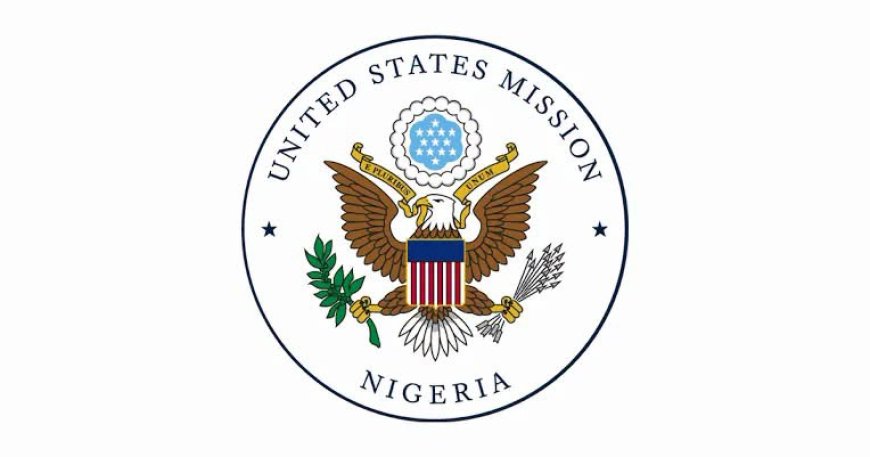 US Warns Nigerians Against Using AI Edited Passport Photos for Visa Applications